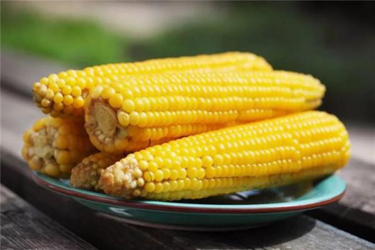 煮玉米需要多長時(shí)間