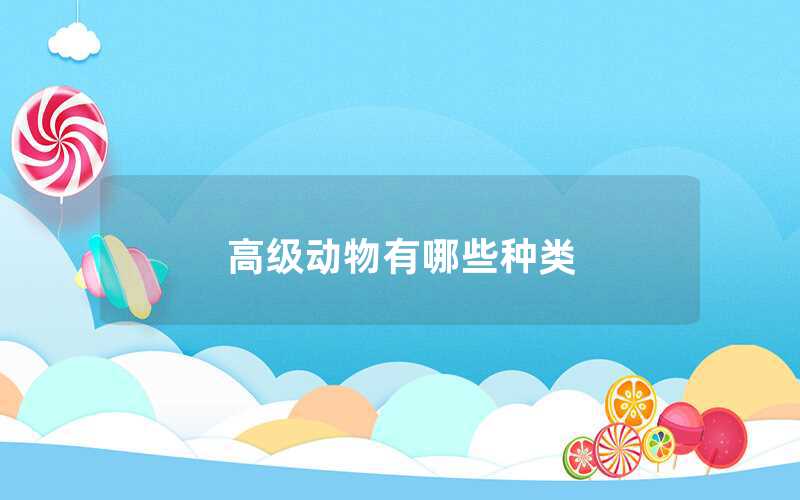 高級(jí)動(dòng)物有哪些種類(lèi)