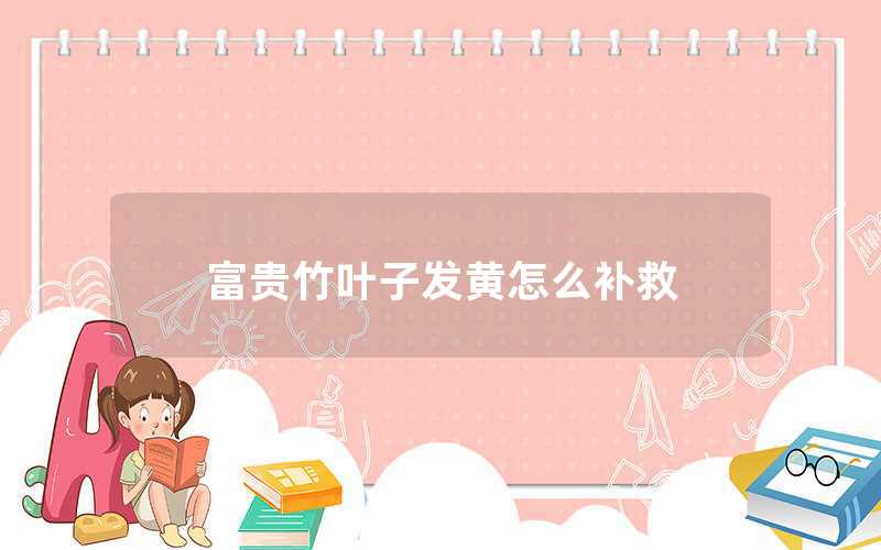 富貴竹葉子發(fā)黃怎么補(bǔ)救
