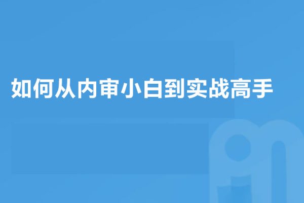 如何從內(nèi)審小白到實戰(zhàn)高手（視頻）