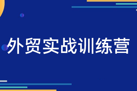 外貿(mào)實(shí)戰(zhàn)訓(xùn)練營，新手必備的外貿(mào)入門課程（24節(jié)視頻課）