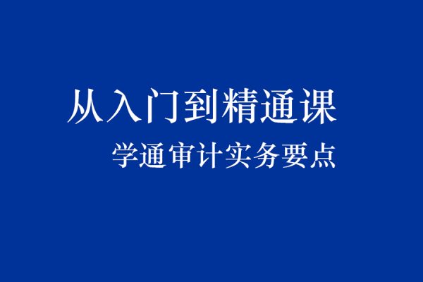 從入門到精通課學(xué)通審計實務(wù)要點