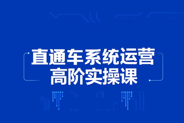 2024無界直通車系統(tǒng)實(shí)操課程，帶你學(xué)會(huì)萬相無界關(guān)鍵詞推廣，4.0升級(jí)版，系統(tǒng)化課程 理論+實(shí)操