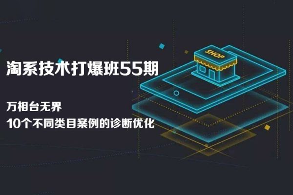淘系打爆班55期技術(shù)：萬相臺無界10個不同類目案例的診斷優(yōu)化(10節(jié))