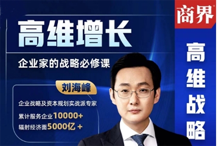 劉海峰高維增長：企業(yè)家的戰(zhàn)略必修課_新版 （20節(jié)）