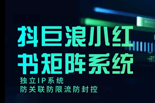 小紅書專業(yè)號矩陣12+30天引流陪跑訓(xùn)練營，簡單易操作，15天可出成績!