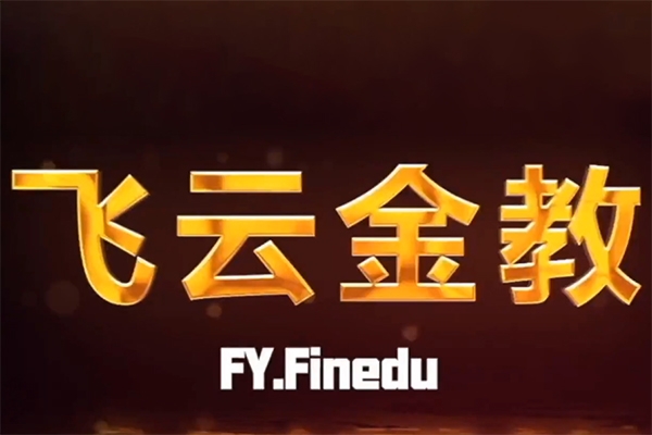 飛云金教《盤口及機(jī)構(gòu)訂單流交易 精講》