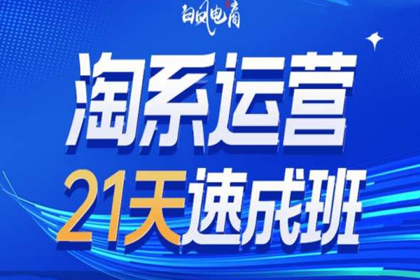 淘系運營21天速成班35期，年前最后一波和2025方向