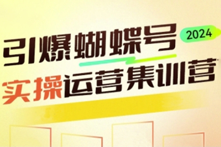 引爆蝴蝶號實操運營，助力你深度掌握蝴蝶號運營，實現高效實操，開啟流量變現之路