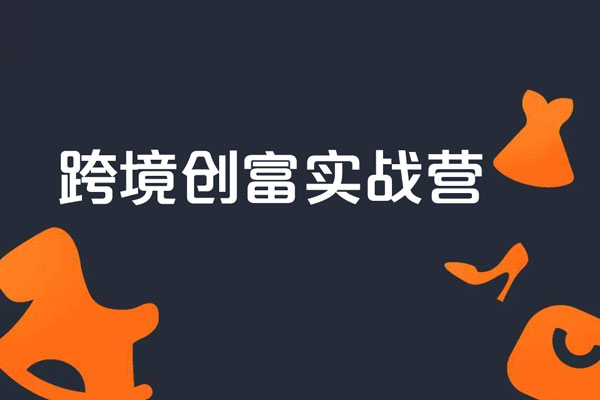 跨境創(chuàng)富實(shí)戰(zhàn)營(yíng)，獨(dú)立站+TikTok+YouTube+谷歌廣告，經(jīng)營(yíng)策略，店鋪運(yùn)營(yíng)，精準(zhǔn)選品，高效引流