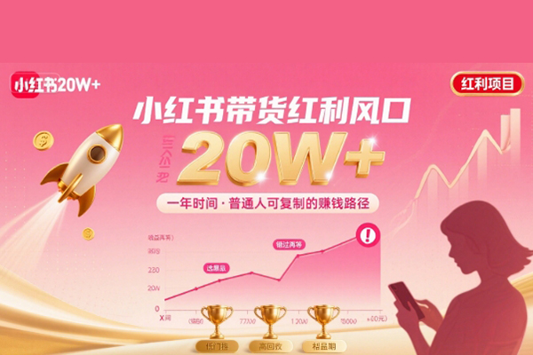 一年時間靠小紅書帶貨項目年入20w+，最不能錯的大紅利項目