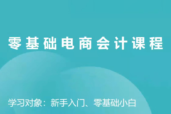 電商財(cái)務(wù)零基礎(chǔ)入門(mén)，基礎(chǔ)認(rèn)知+基礎(chǔ)實(shí)操+進(jìn)階突破，輕松掌握