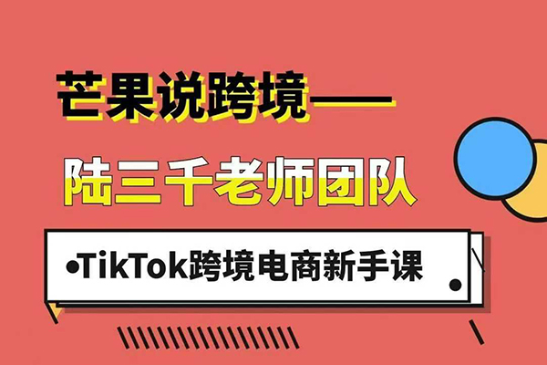 陸三千TikTok跨境電商新手課，TikTok從入門(mén)到盈利的全流程！2025年最新最有效的運(yùn)營(yíng)策略和平臺(tái)規(guī)則。