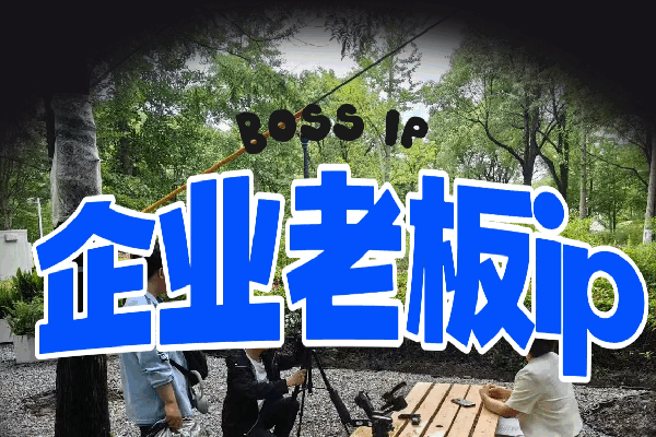 老板創(chuàng)業(yè)全案創(chuàng)業(yè)者的融資策略與思維迭代