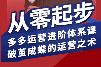 海神·拼多多運營進階系統課，從零起步，多多運營進階體系課，破繭成蝶的運營之術