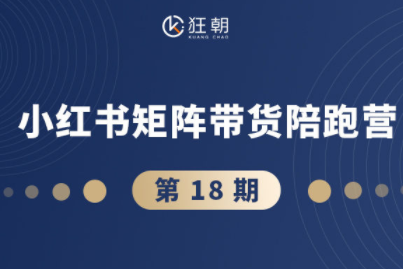 盜坤·抖音小紅書視頻號(hào)短視頻帶貨與直播變現(xiàn)（11