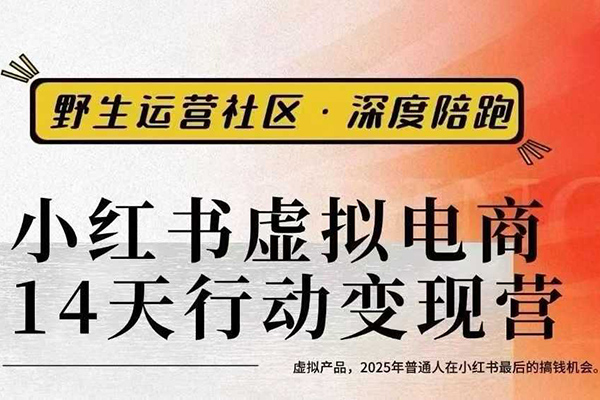 小紅書虛擬電商14天變現(xiàn)訓(xùn)練營3.0，虛擬產(chǎn)品，2025年普通人在小紅書最后的搞錢機(jī)會(huì)